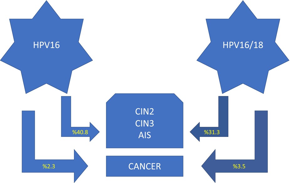 Does HPV-18 co-infection increase the risk of cervical pathology in individuals with HPV-16?