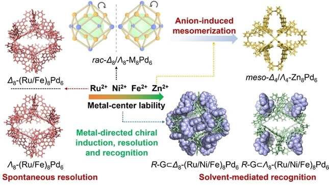 Dynamic Stereochemistry of M8Pd6 Supramolecular Cages Based on Metal-Center Lability for Differential Chiral Induction, Resolution, and Recognition