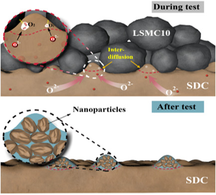 New Insights into the Degradation Behavior of Air Electrodes during Solid Oxide Electrolysis and Reversible Solid Oxide Cell Operation