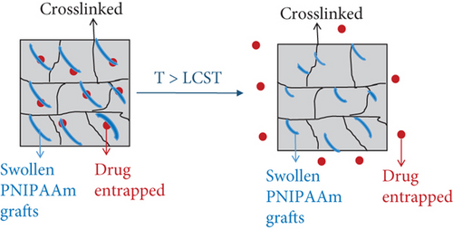 Details are in the caption following the image