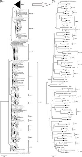 Details are in the caption following the image Details are in the caption following the image