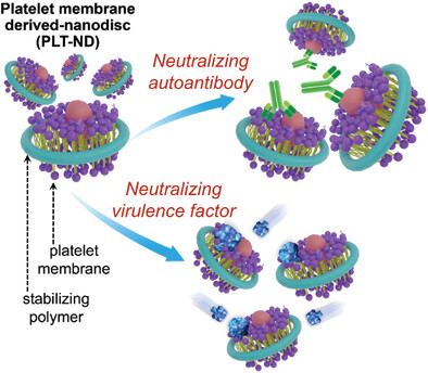 Platelet Membrane-Derived Nanodiscs for Neutralization of Endogenous Autoantibodies and Exogenous Virulence Factors