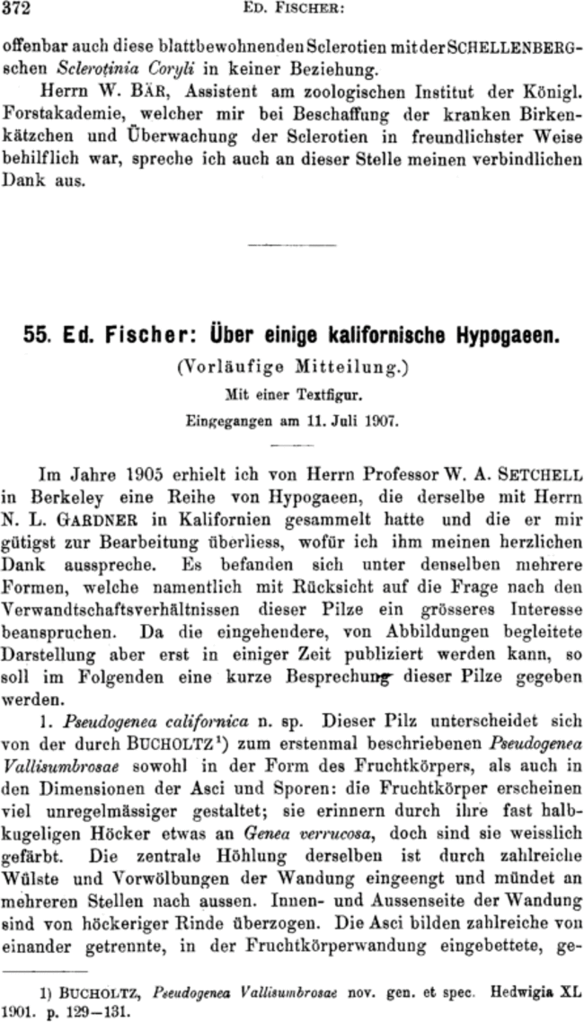 First page image