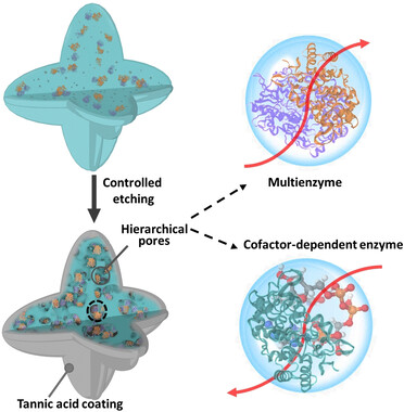 Hierarchically Porous Biocatalytic MOF Microreactor as a Versatile Platform towards Enhanced Multienzyme and Cofactor-Dependent Biocatalysis