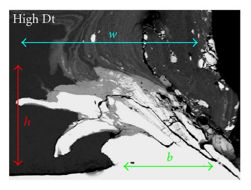 Details are in the caption following the image Details are in the caption following the image