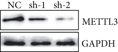 Details are in the caption following the image