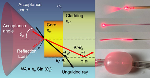 Light Sources and Dosimetry Techniques for Photodynamic Therapy Issue 2, 2020