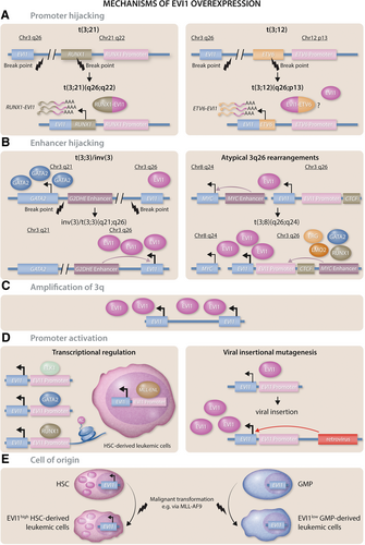 Details are in the caption following the image Details are in the caption following the image