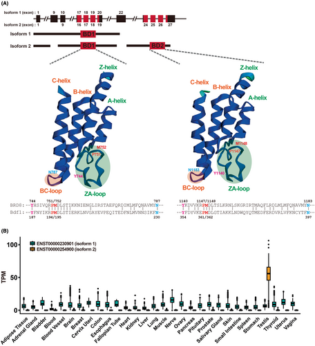 Details are in the caption following the image Details are in the caption following the image