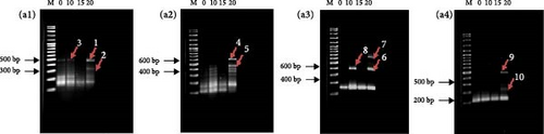Details are in the caption following the image Details are in the caption following the image
