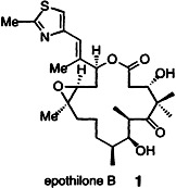 Total Synthesis of (–)-Epothilone B: An Extension of the Suzuki Coupling Method and Insights into Structure–Activity Relationships of the Epothilones