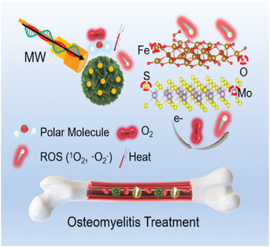 Magnetic Composite Rapidly Treats Staphylococcus aureus-Infected Osteomyelitis through Microwave Strengthened Thermal Effects and Reactive Oxygen Species