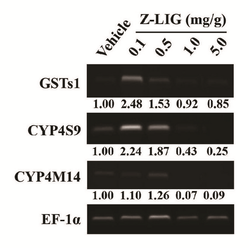 Details are in the caption following the image