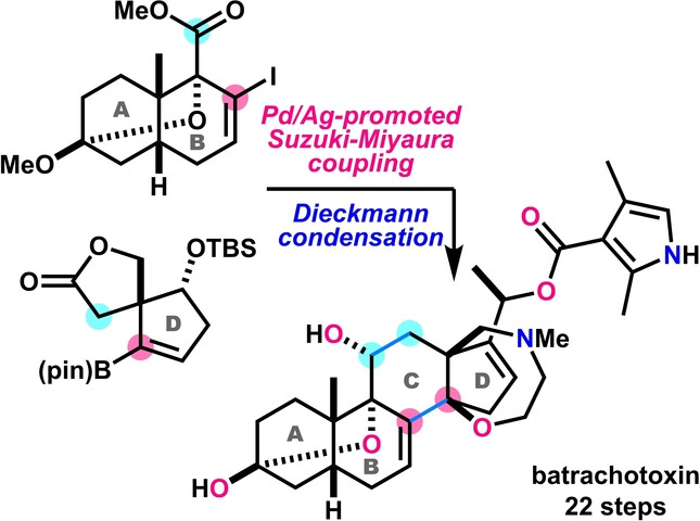 Total Synthesis of (−)-Batrachotoxin Enabled by a Pd/Ag-Promoted Suzuki–Miyaura Coupling Reaction