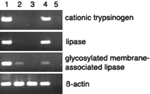 Details are in the caption following the image