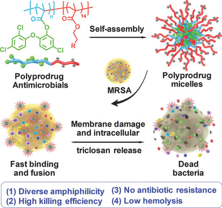 Polyprodrug Antimicrobials: Remarkable Membrane Damage and Concurrent Drug Release to Combat Antibiotic Resistance of Methicillin-Resistant Staphylococcus aureus