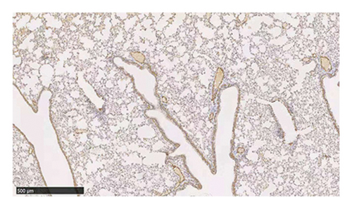 Details are in the caption following the image