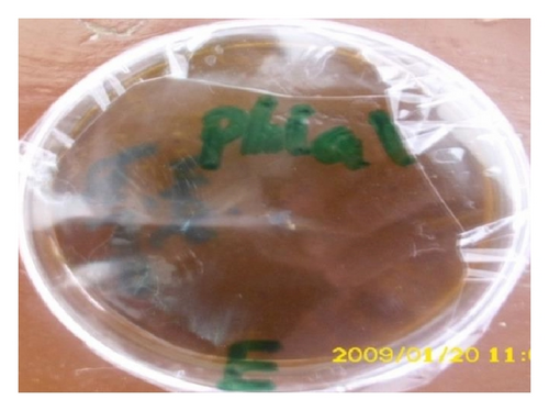 Details are in the caption following the image