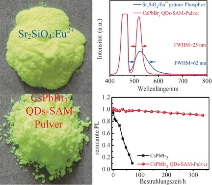 Highly Luminescent and Ultrastable CsPbBr3 Perovskite Quantum Dots Incorporated into a Silica/Alumina Monolith