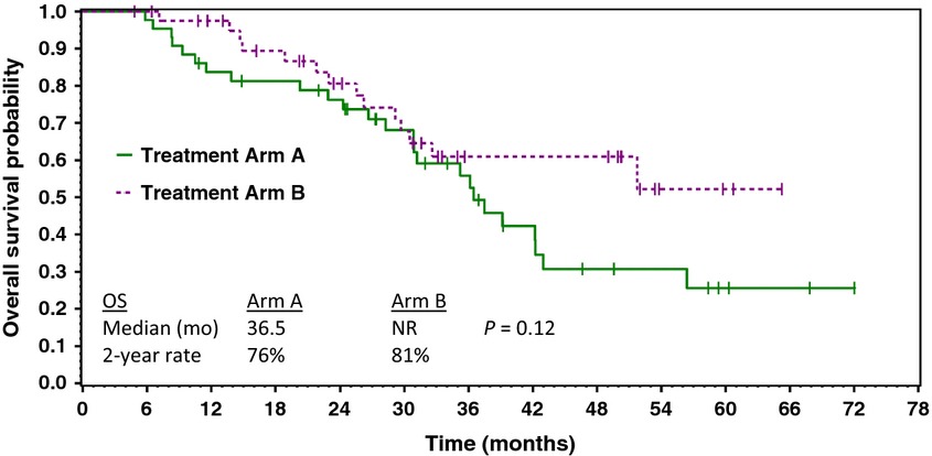Paclitaxel/carboplatin with or without sorafenib in the first-line treatment of patients with stage III/IV epithelial ovarian cancer: a randomized phase II study of the Sarah Cannon Research Institute