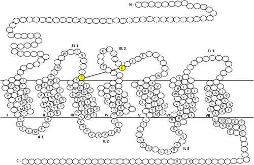 Details are in the caption following the image Details are in the caption following the image