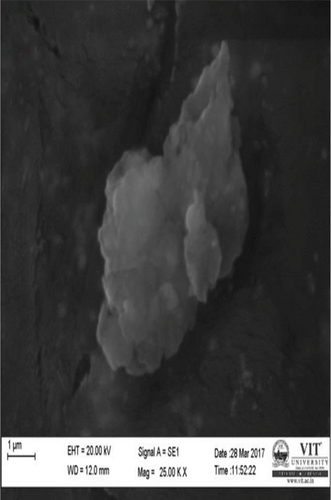 Details are in the caption following the image