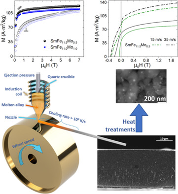 Magnetic Properties of Tetragonal SmFe12−xMox Alloys in Bulk and Melt-Spun Ribbons