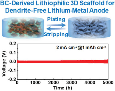 Lithiophilic Carbon Nanofiber/Graphene Nanosheet Composite Scaffold Prepared by a Scalable and Controllable Biofabrication Method for Ultrastable Dendrite-Free Lithium-Metal Anodes