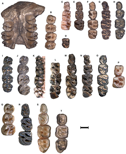 Details are in the caption following the image Details are in the caption following the image