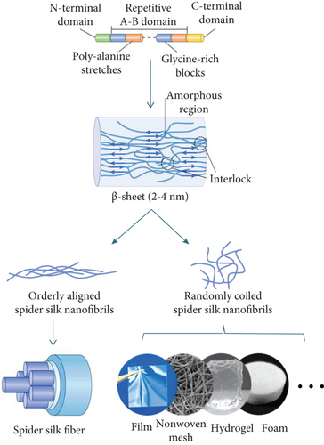 Details are in the caption following the image Details are in the caption following the image