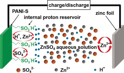 A Long-Cycle-Life Self-Doped Polyaniline Cathode for Rechargeable Aqueous Zinc Batteries