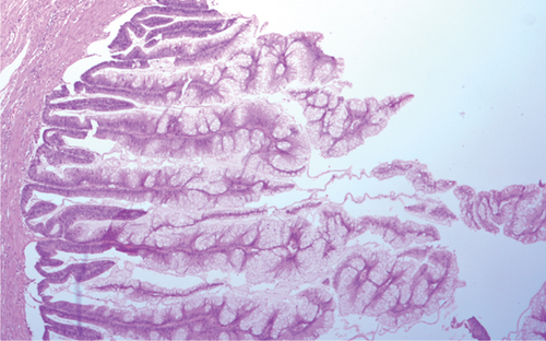 Details are in the caption following the image