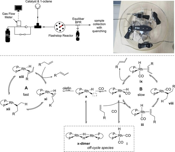 Fast Isomerization Before Isomerization-Hydroformylation: Probing the Neglected Period with A Novel Microfluidic Device