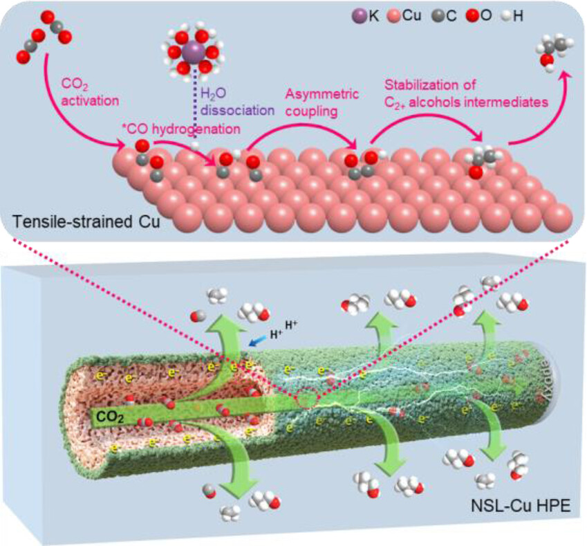 Tensile-Strained Cu Penetration Electrode Boosts Asymmetric C−C Coupling for Ampere-Level CO2-to-C2+ Reduction in Acid