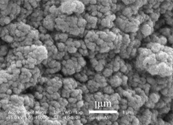Chemical and Enzymatic Polymerization of Polyaniline/Ag Nanocomposites
