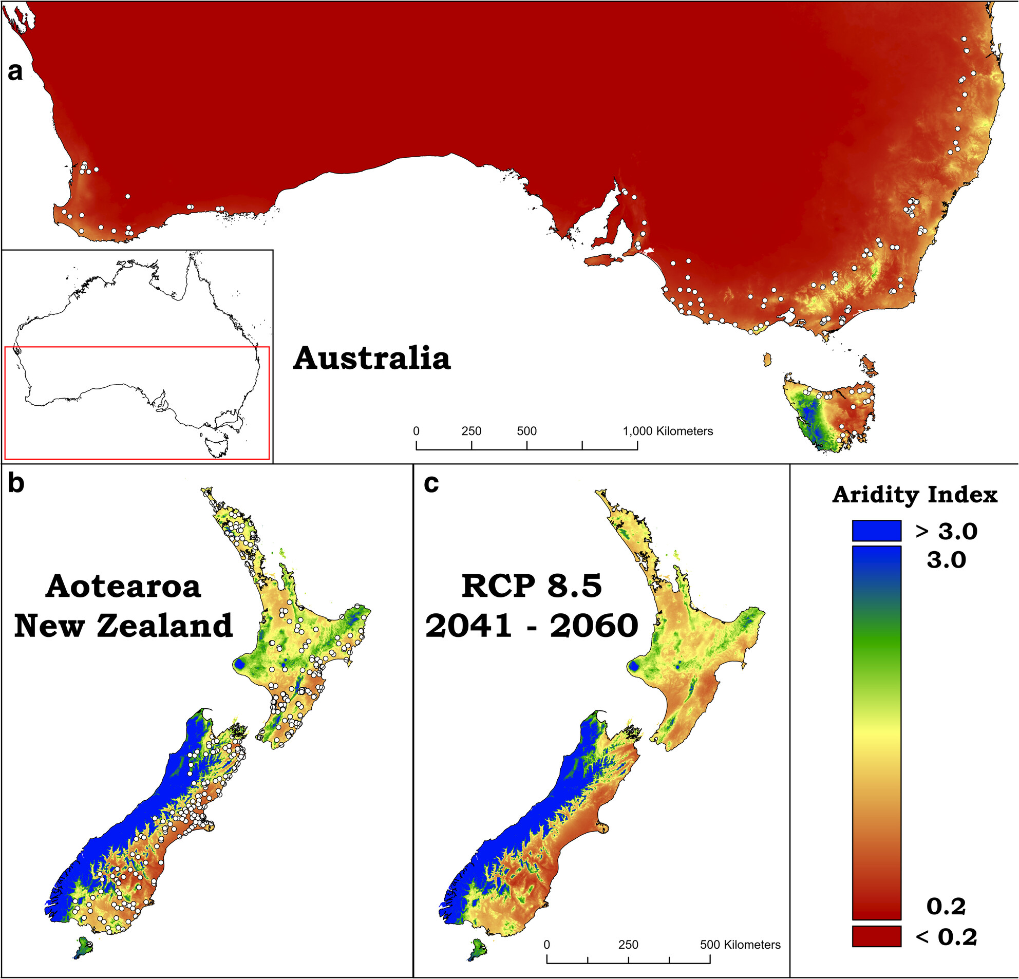 Unravelling Changes in the Pinus radiata Root and Soil Microbiomes as a Function of Aridity