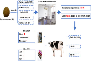 Offering soybean molasses adsorbed to agricultural by-products improved lactation performance through modulating plasma metabolic enzyme pool of lactating cows