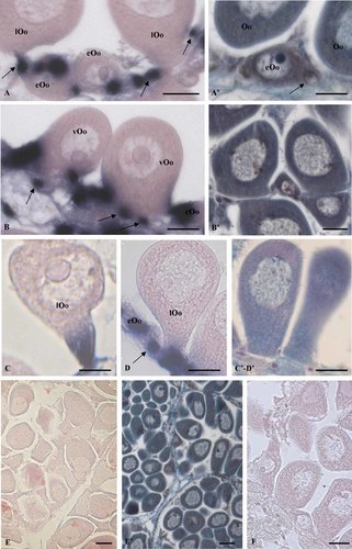 Details are in the caption following the image