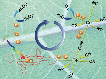 A Noble-Metal-Free Heterogeneous Photosensitizer-Relay Catalyst Triad That Catalyzes Water Oxidation under Visible Light