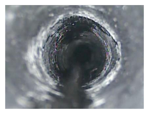 Details are in the caption following the image Details are in the caption following the image