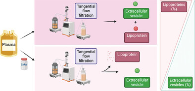 Chemically-Induced Lipoprotein Breakdown for Improved Extracellular Vesicle Purification