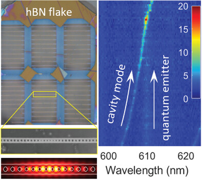 Purcell Enhancement of a Cavity-Coupled Emitter in Hexagonal Boron Nitride