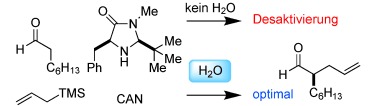 Mechanistic Complexity in Organo–SOMO Activation