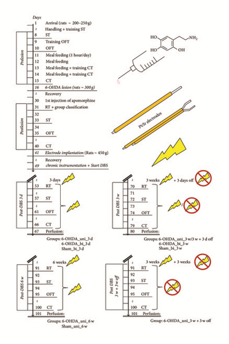 Details are in the caption following the image Details are in the caption following the image