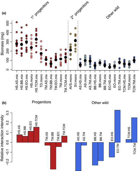 Fertile Crescent crop progenitors gained a competitive advantage from large seedlings