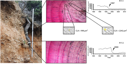 Details are in the caption following the image Details are in the caption following the image