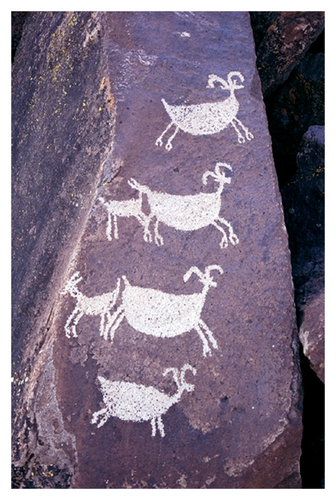 Details are in the caption following the image
