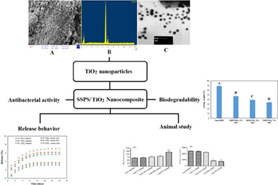 Soluble soybean polysaccharide/TiO2 nanocomposites: Biological activity, release behavior, biodegradability, and biosafety