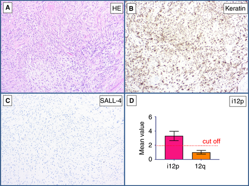 Details are in the caption following the image Details are in the caption following the image