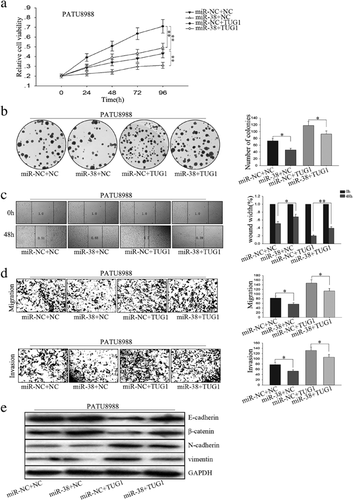 Details are in the caption following the image Details are in the caption following the image